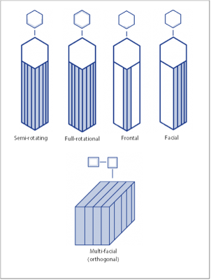 Figure 1. A schematic representation of the different core volume management strategies (modified from Delagnes & Meignen, 2005).